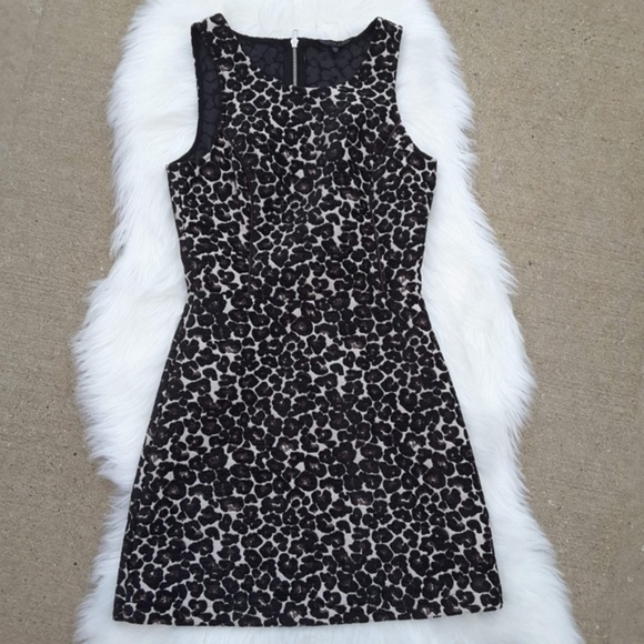 Felicity & Coco Leopard Print Shift cut out Dress - Picture 2 of 4